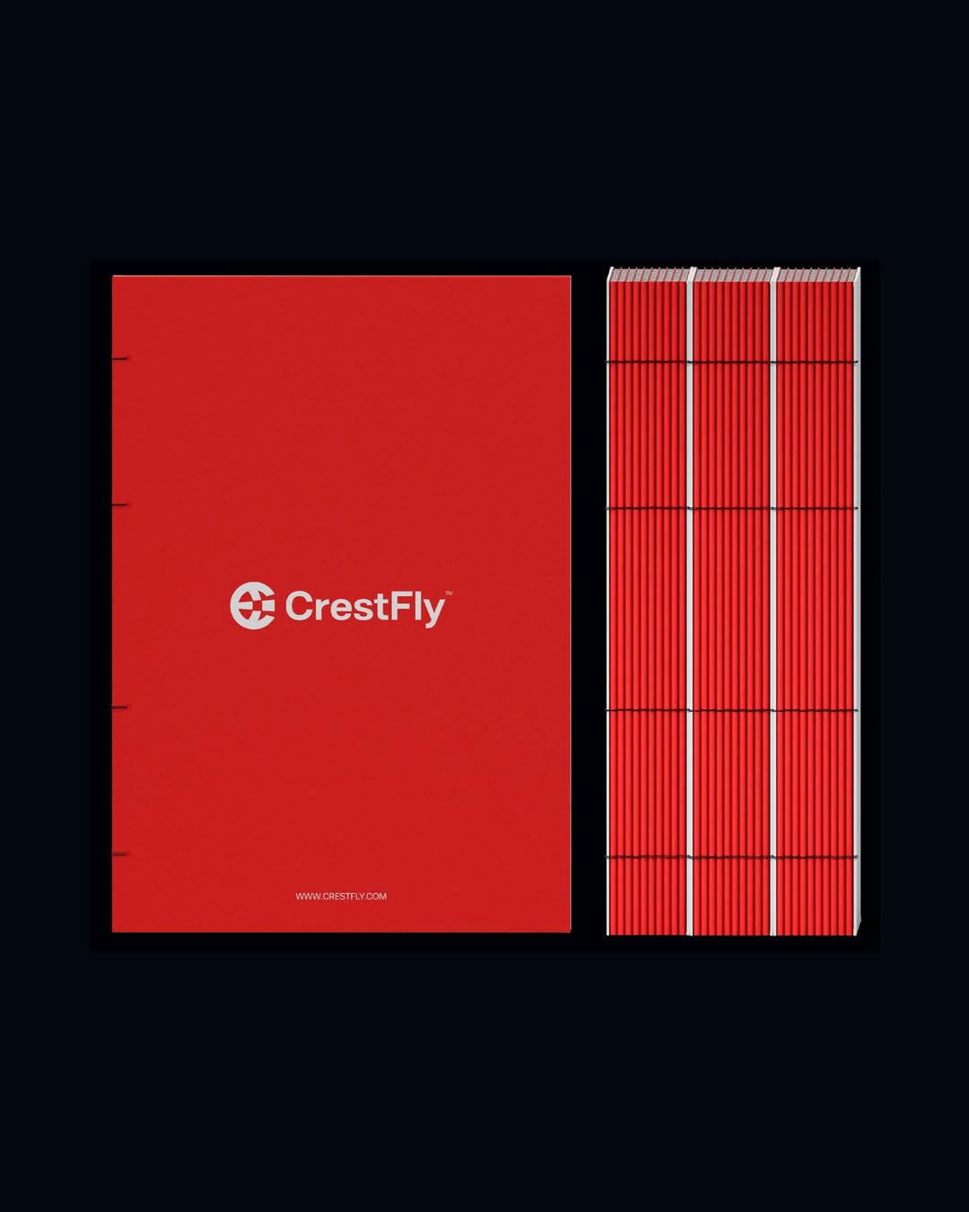 CrestFly Branding Design 4
